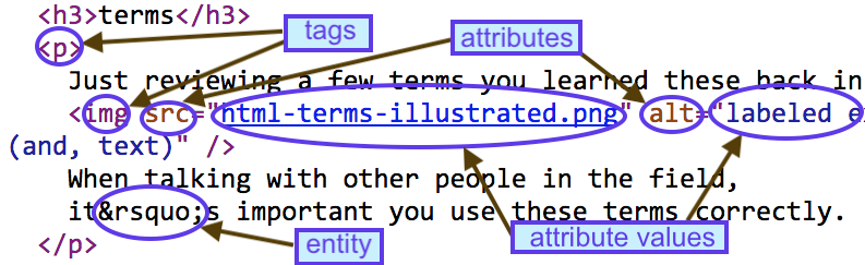 labeled examples of tags, attributes, attribute-values, and entities (and, text)